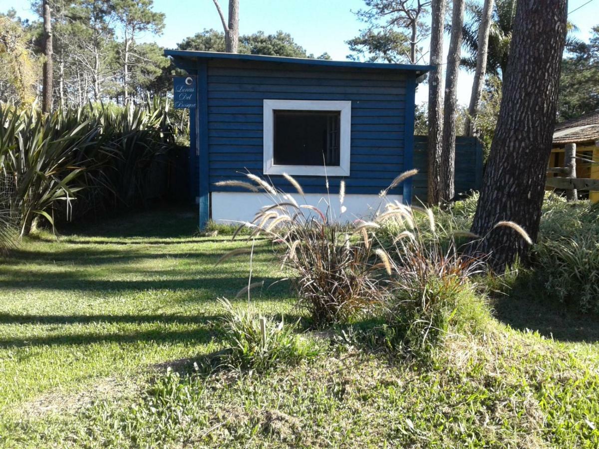 Lunas del Bosque Cabaña y apartamento en suite La Paloma Exterior foto